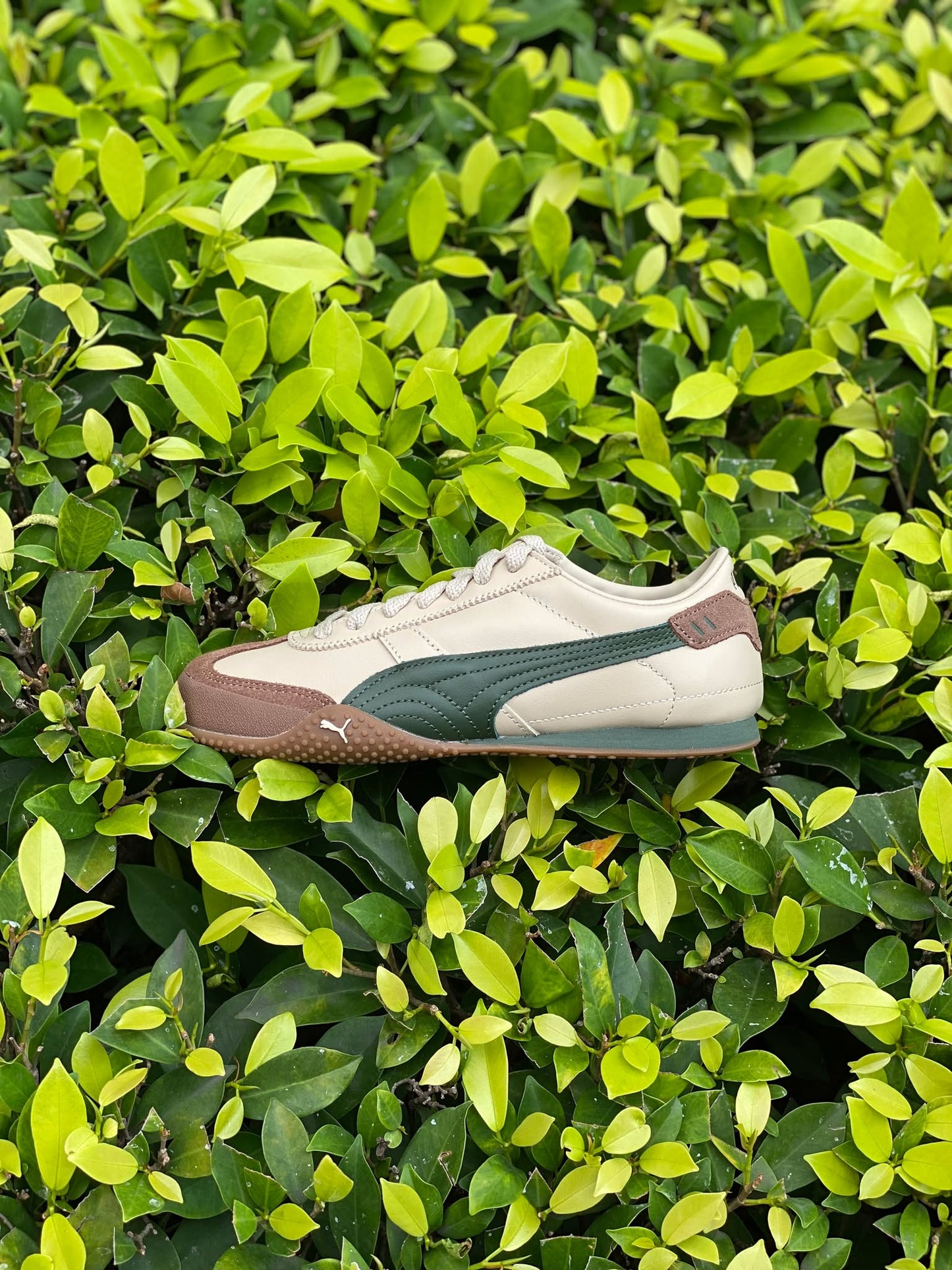 Puma Bella UT 'Beige Green' (WOMEN'S)