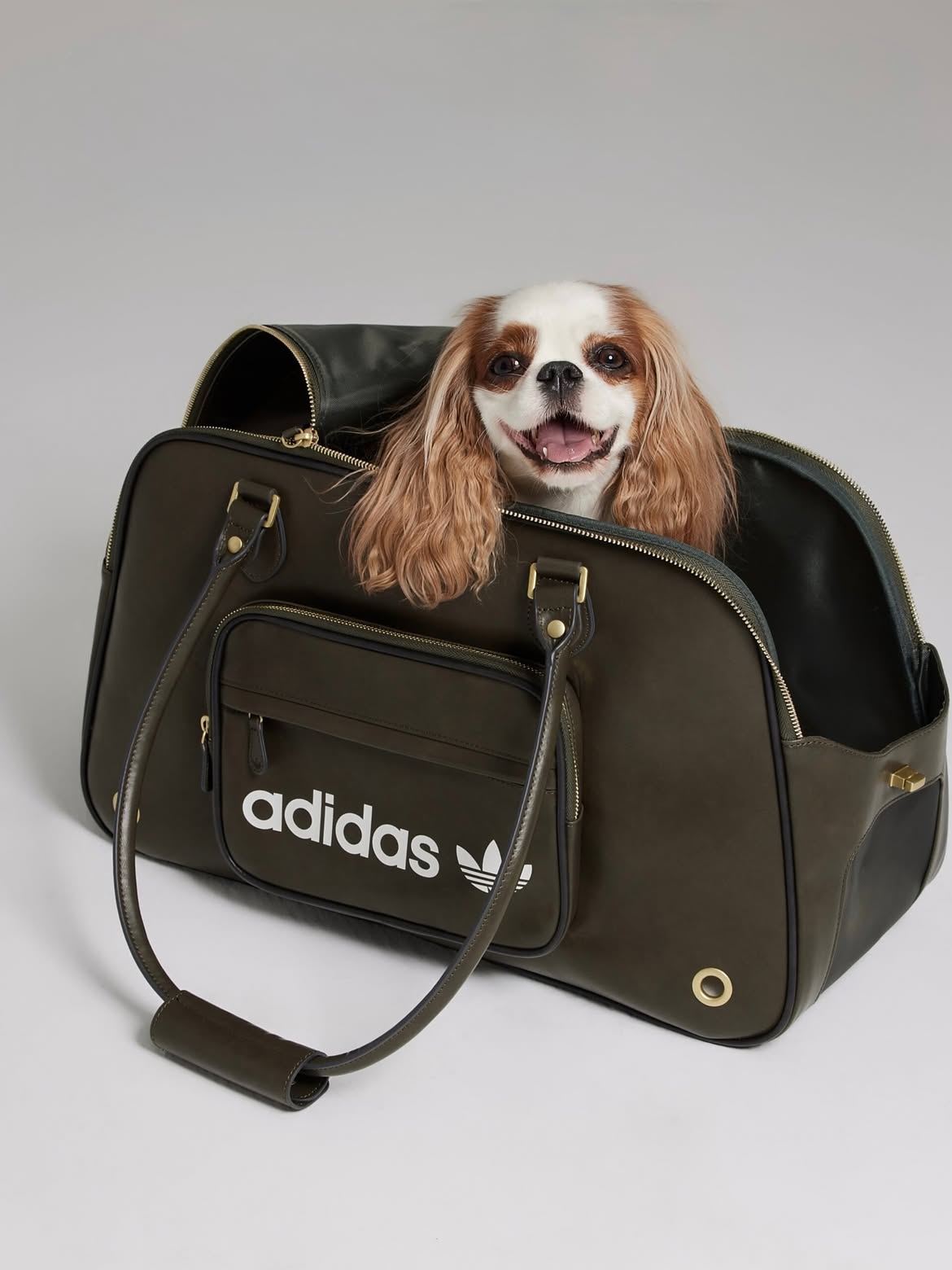 Adidas Originals Pet Shoulder Bag