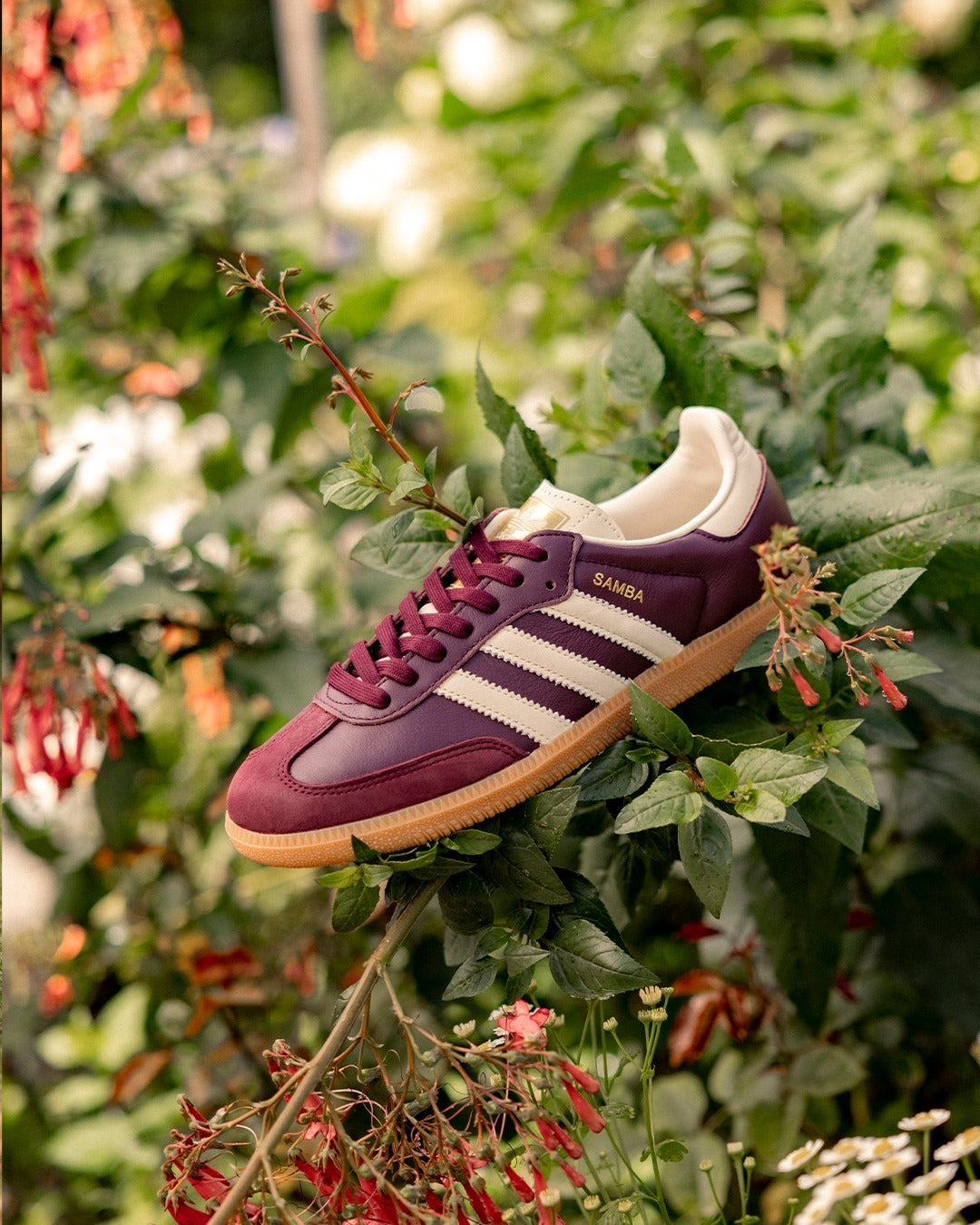 Adidas Samba OG 'Maroon'