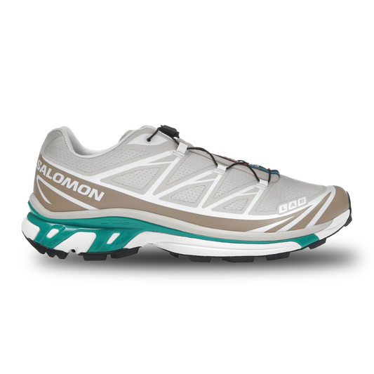 Salomon XT-6 'Rainy Day Chinchilla'