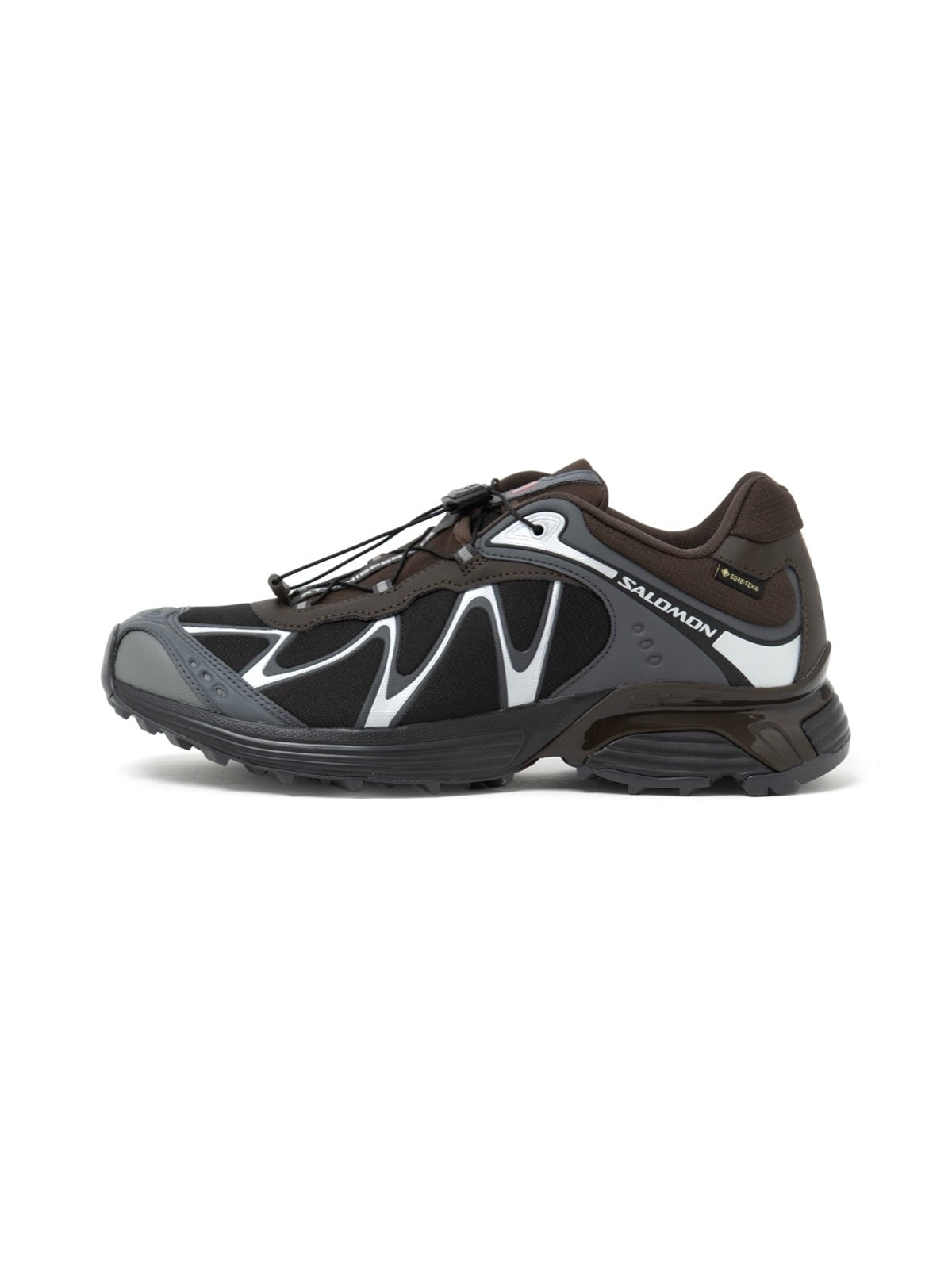 Salomon XT-Whisper GTX "Delicioso Asphalt Castlerock"